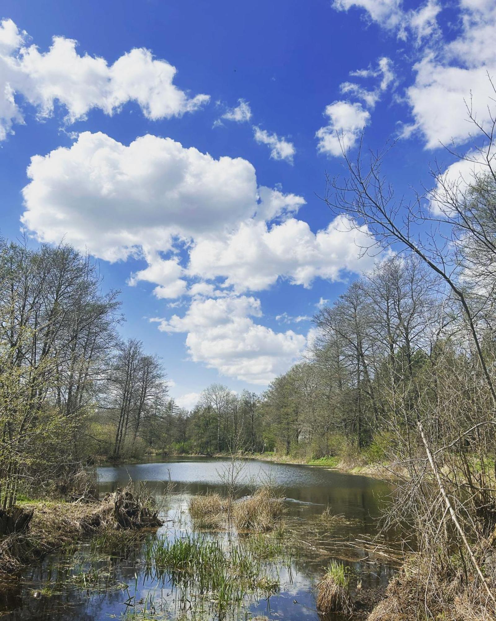 Masuria Warsaw Skrzeszew Exterior foto