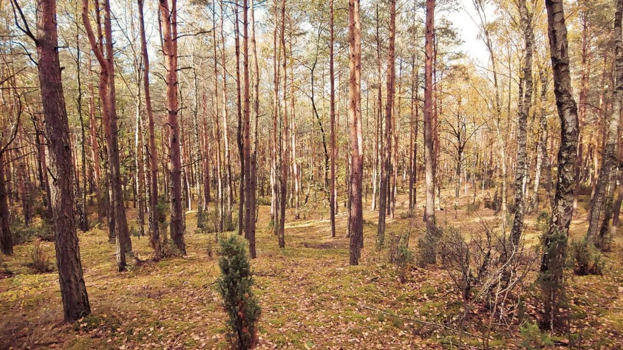 Masuria Warsaw Skrzeszew Exterior foto